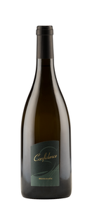 Confidence - Blanc - Domaine SAUVETE