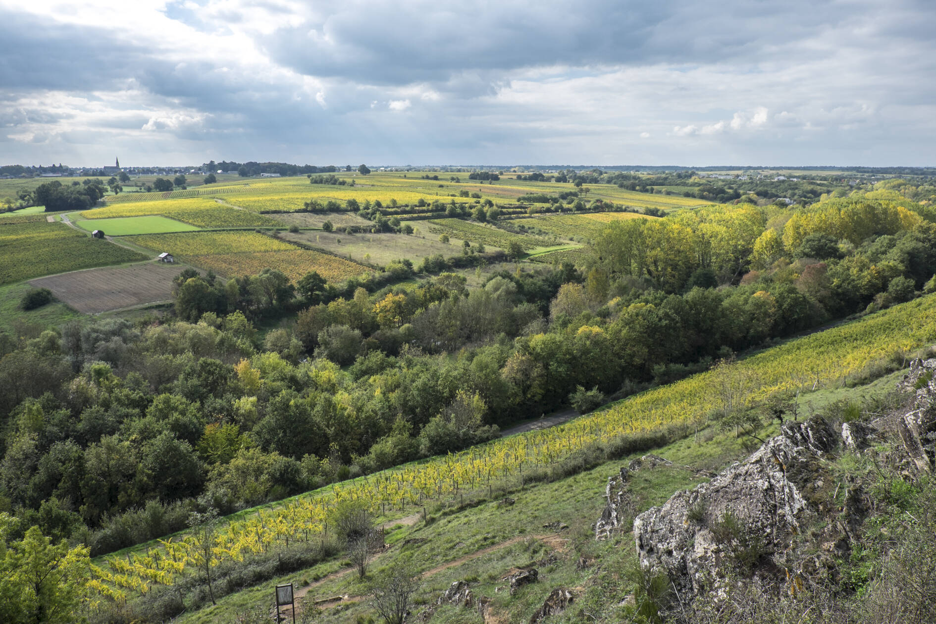 Vue sur les Bonnes Blanches - Copyright Jean-Yves Bardin winemaker domain picture